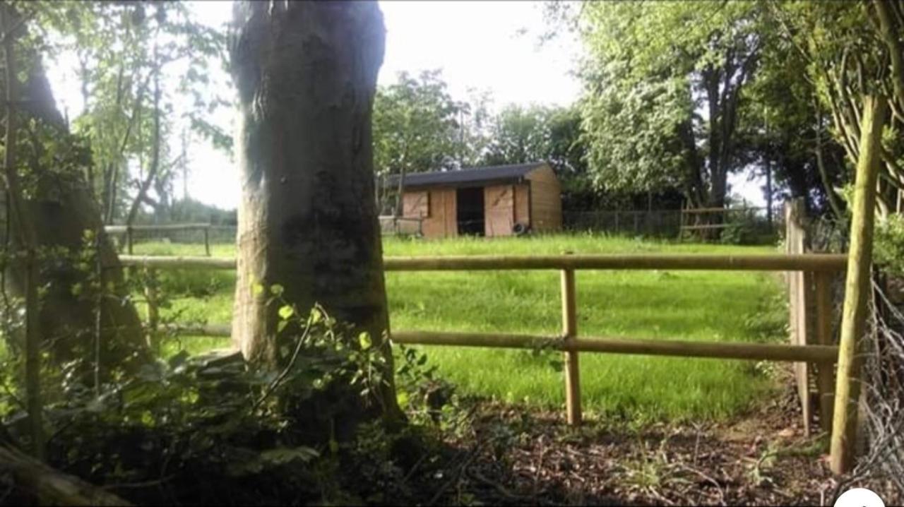 Meerkat Manor B&B Colwall Exterior foto